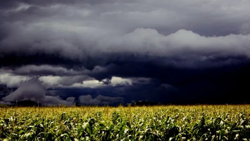 Tormentas y posibilidad de granizo: la alerta se extiende a casi toda la provincia