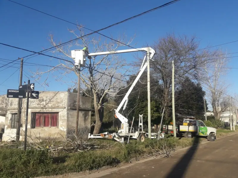 Poda para extracción