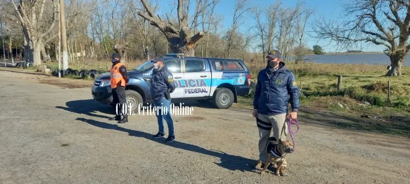 La PFA de Dolores, con la ayuda del perro Gringo, incautó estupefacientes en operativo