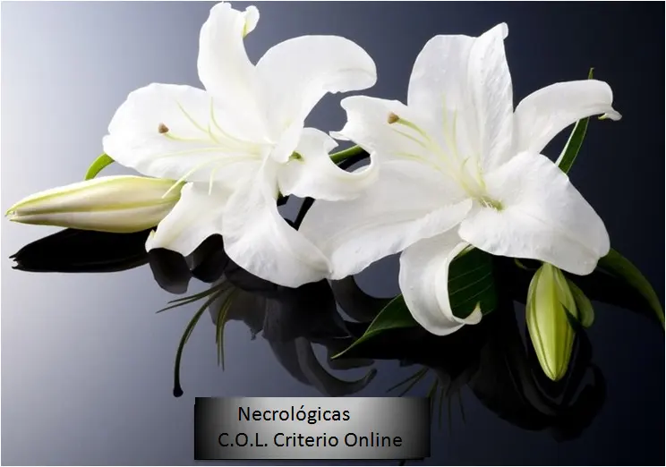 Fallecimiento - Diario Criterio Online
