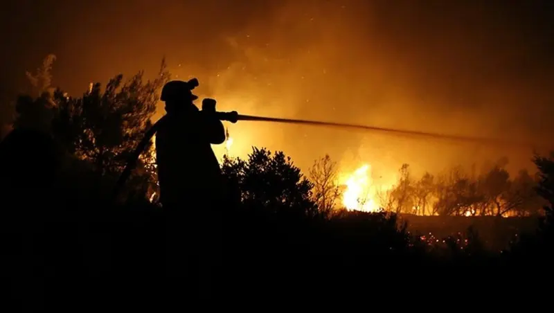 Incendios forestales en Rusia: cerca de 4 millones de hectáreas afectadas, evacuaciones, éxodo de animales - Diario Criterio Online