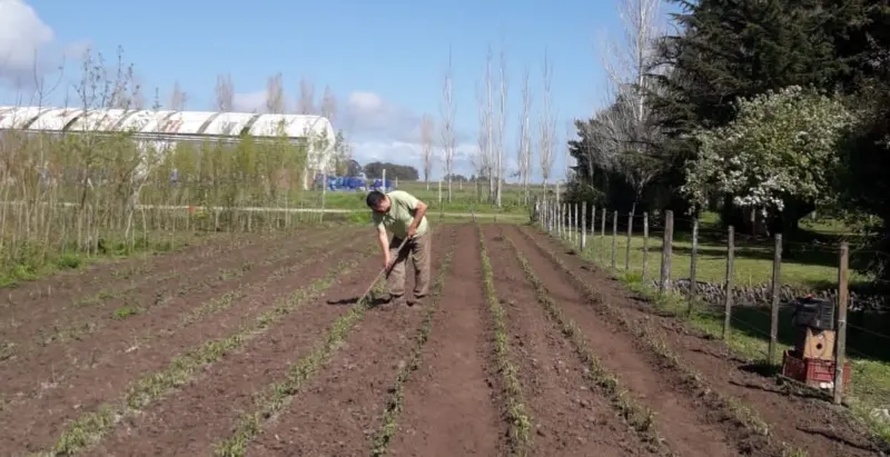 Trabajos en el Vivero Municipal - Diario Criterio Online