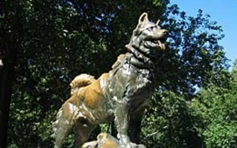 Por qué el 2 de junio es el Día del Perro: la historia de Chonino