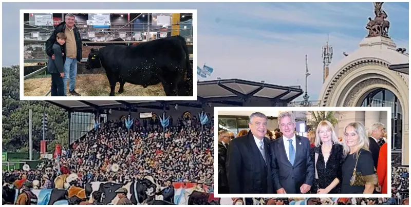 ExpoRural 2022: cabaña Don Marino de Sevigne/Dolores obtuvo un segundo premio en la raza Angus