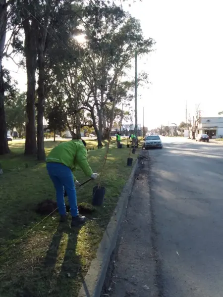 Trabajos de parquización y forestación