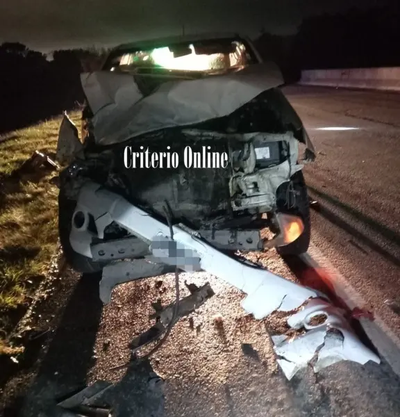 Dolores: Se cruzó un animal en la ruta y no pudo evitar el impacto