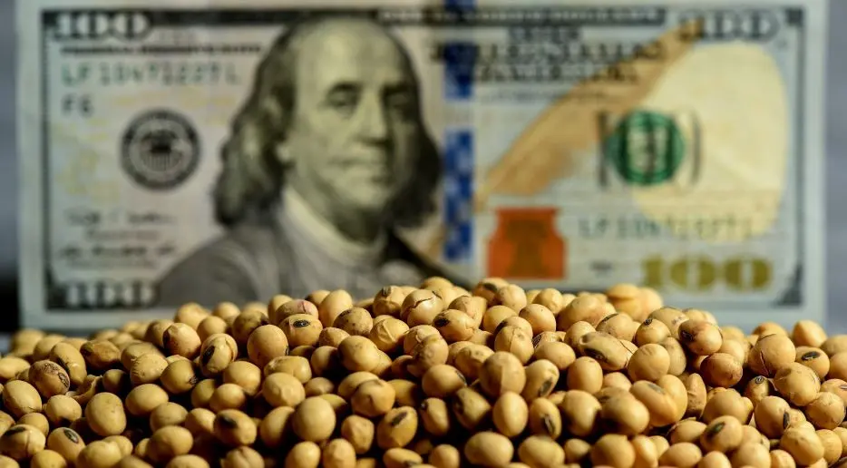 Dólar Soja II:  el nuevo tipo de cambio será de 230 pesos y regirá hasta fin de año