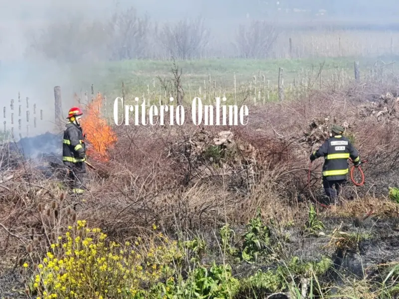 INCENDIO DE BANQUINA EN AUTOVÍA 2 EN DOLORES