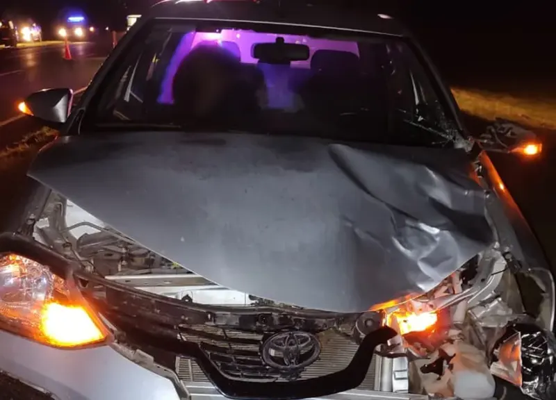 Tragedia en la Ruta 2: atropelló y mató a un automovilista que bajó por un desperfecto mecánico