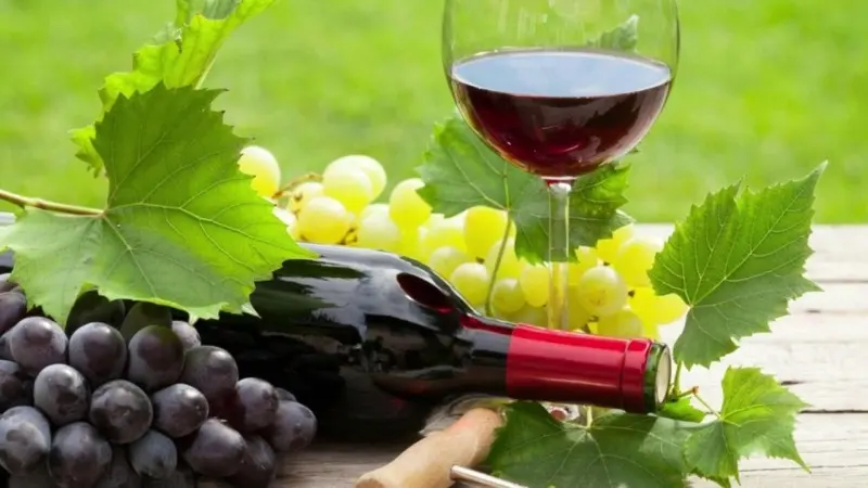 Vino Argentino: cuáles son los 10 mejores