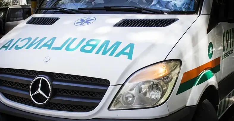 Murió un bebé tras el impacto fatal de una palta de un árbol en Quilmes - Diario Criterio Online