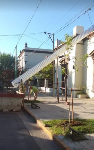 Trabajos de forestación - Diario Criterio Online