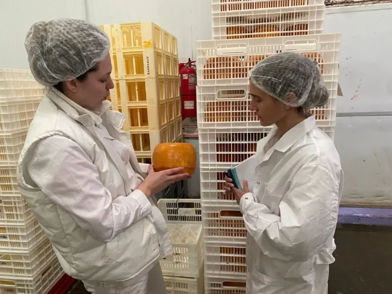 Quesos tandilenses logran ingresar al mercado de los Estados Unidos