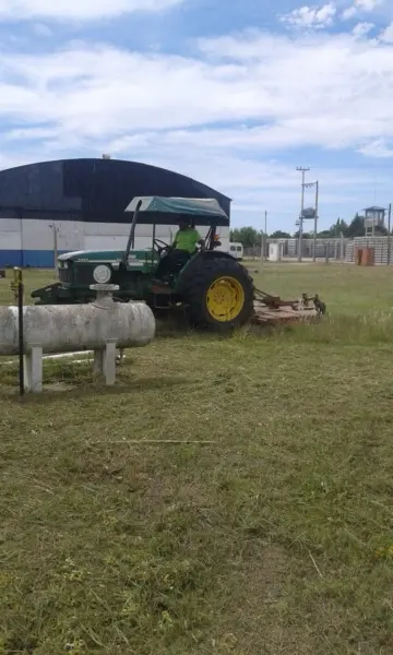 Mantenimiento y Cortes de pasto - Diario Criterio Online