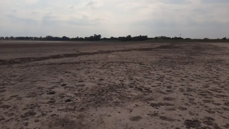 Desolador: la laguna de Sevigné se secó por completo