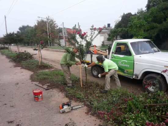 Mantenimiento de plantas