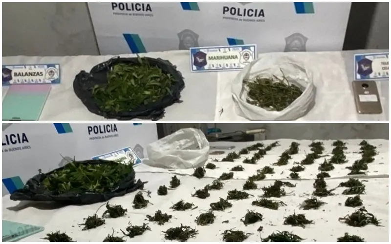 Delegación Drogas Ilícitas Dolores Desbarata punto de venta de estupefacientes en Madariaga - Diario Criterio Online