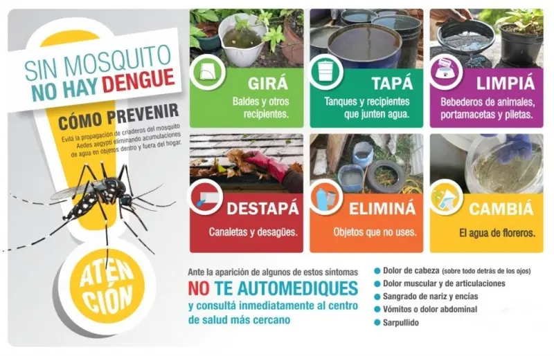 Información sobre dengue - Diario Criterio Online