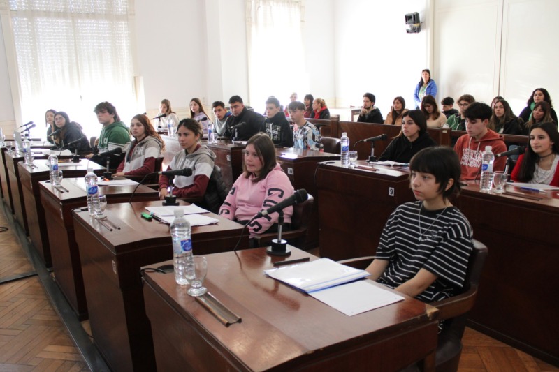 Jornada Distrital Parlamento Juvenil del Mercosur - Diario Criterio Online