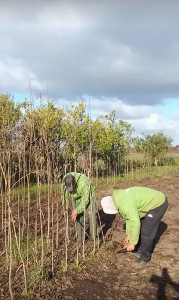 Trabajos en el Vivero MunicipalTrabajos en el Vivero Municipal - Diario Criterio Online