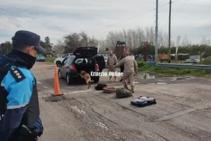 Maipú: Importante Operativo en Autovía 2 para detectar drogas con canes y control vial