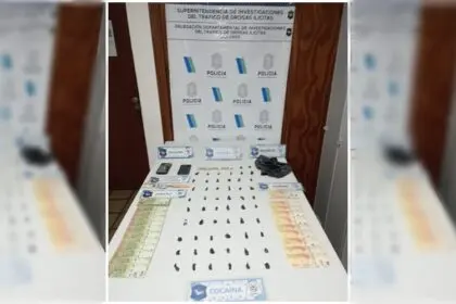 Drogas Ilícitas Dolores, desarticula punto de venta de drogas en Ostende, Pinamar