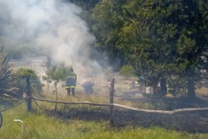 Incendio de pastos en el kilómetro 211 de la Ruta 2