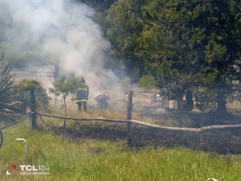 Incendio de pastos en el kilómetro 211 de la Ruta 2 - Diario Criterio Online