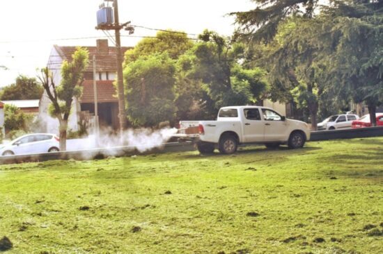 MOSQUITOS: EL MUNICIPIO REALIZA TRABAJOS DE FUMIGACIÓN