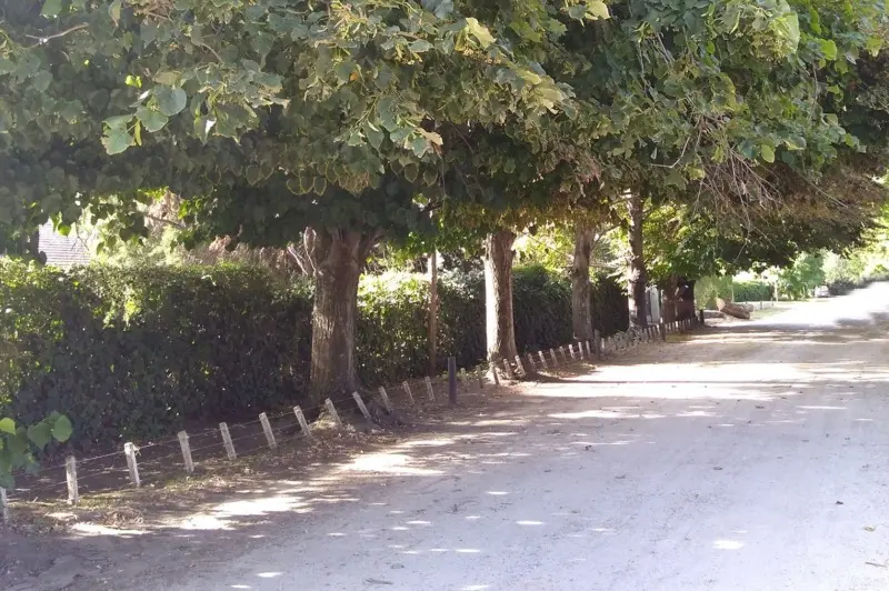 Reclamo urgente por falta de suministro eléctrico en Barrio El Cruce de Dolores - Diario Criterio Online