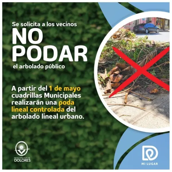 Está prohibida la poda del arbolado urbano - Diario Criterio Online