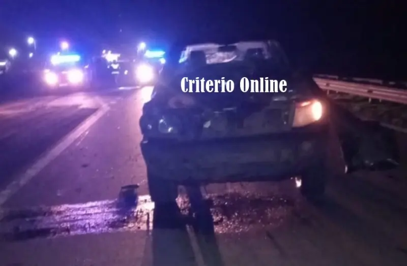 Dolorense ileso tras chocar su camioneta contra un equino en la Ruta 63 - Diario Criterio Online