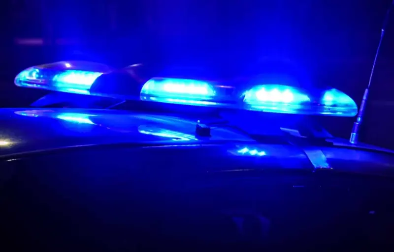 Cinco delincuentes armados y encapuchados asaltaron a una familia en Brandsen y escaparon en su camioneta: son intensamente buscados - Diario Criterio Online