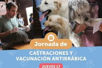Recordatorio: jornada de Castraciones y Vacunación
