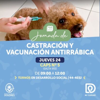 CONTINÚAN LAS JORNADAS DE VACUNACIÓN Y CASTRACIÓN PARA PERROS Y GATOS CONTINÚAN LAS JORNADAS DE VACUNACIÓN Y CASTRACIÓN PARA PERROS Y GATOS