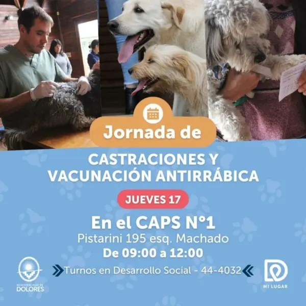 Recordatorio: jornada de Castraciones y Vacunación - Diario Criterio Online