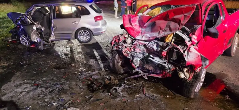 Dos muertos y seis heridos tras un choque frontal en la ruta 29 - Diario Criterio Online