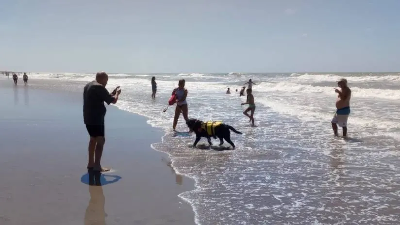 Perros guardavidas, una modalidad que ya funciona en varias playas del país, se mostró en Villa Gesell - Diario Criterio Online