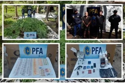 LA POLICÍA FEDERAL ARGENTINA REALIZÓ UN IMPORTANTE ALLANAMIENTO POR NARCOTRÁFICO EN CHASCOMÚS: SECUESTRARON MÁS DE 800 PLANTAS DE MARIHUANA, DINERO, CELULARES, ARMAS Y VEHÍCULOS