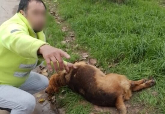 INDIGNACIÓN Y SOLIDARIDAD EN CALLE PILOTTO