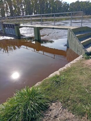 INFORME SOBRE SITUACIÓN DE LOS CANALES 9 Y 1