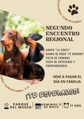 Segundo Encuentro Regional de Perros Salchicha!