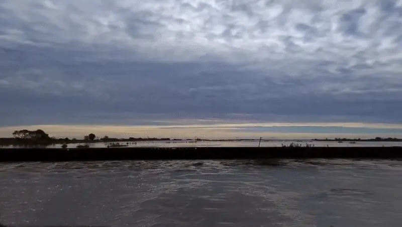 Desbordó el agua cerca del Río Salado y el campo insiste con las obras de dragado - Diario Criterio Online