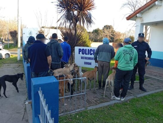 SEVIGNÉ: OCHO DEMORADOS POR CAZA CON PERROS