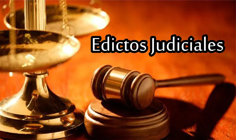 Edicto judicial - Diario Criterio Online
