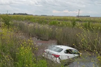 Se les metió una abeja en el auto cuando circulaban por ruta 2: despistaron y terminaron en una zanja con agua
