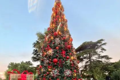 DOLORES ENCENDIÓ SU ÁRBOL Y LA CIUDAD YA RESPIRA NAVIDAD