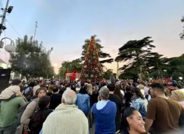 Dolores encendió su árbol y la ciudad ya respira navidad - Diario Criterio Online
