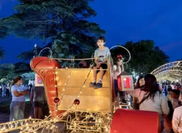 Dolores encendió su árbol y la ciudad ya respira navidad - Diario Criterio Online