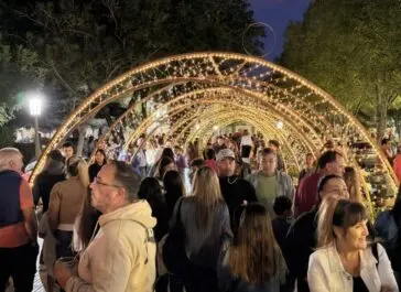Dolores encendió su árbol y la ciudad ya respira navidad - Diario Criterio Online